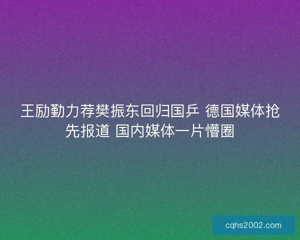 王励勤力荐樊振东回归国乒 德国媒体抢先报道 国内媒体一片懵圈